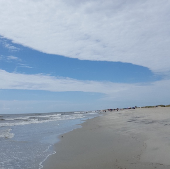 Meet your Posher, Tammy - Picture 1 of 1